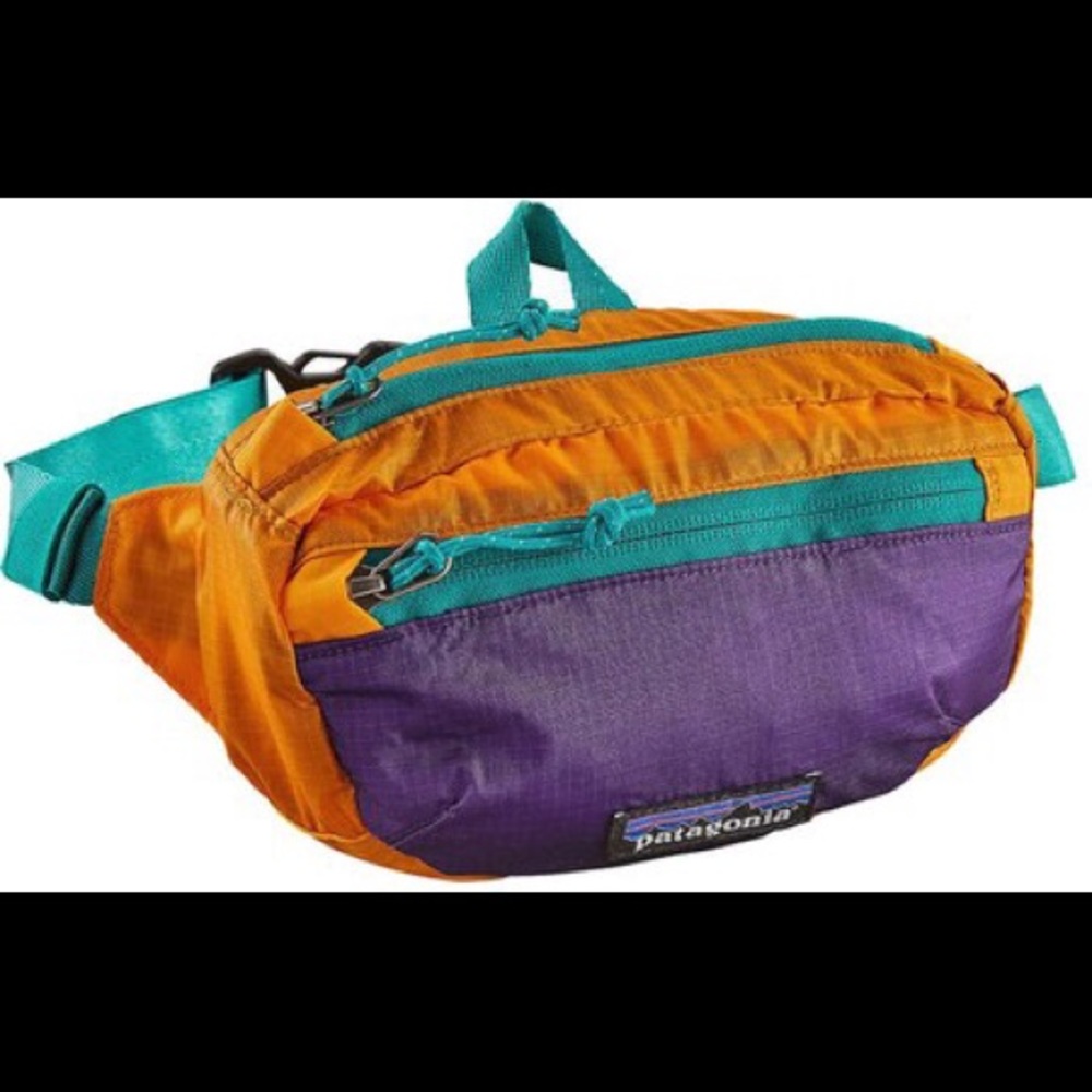 Patagonia colorblock belt bag fanny pack purse